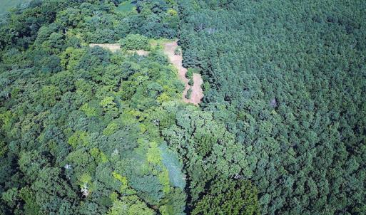 Photo #6 of SOLD property in Off Jackie Lane, Cape Charles, VA 46.0 acres