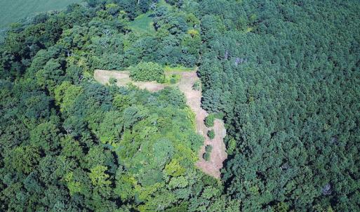 Photo #7 of SOLD property in Off Jackie Lane, Cape Charles, VA 46.0 acres