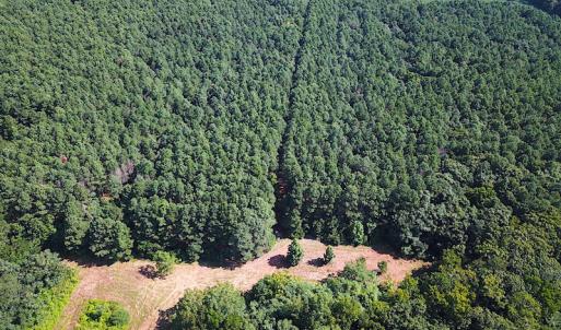 Photo #8 of SOLD property in Off Jackie Lane, Cape Charles, VA 46.0 acres