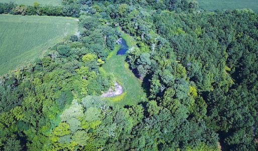 Photo #9 of SOLD property in Off Jackie Lane, Cape Charles, VA 46.0 acres