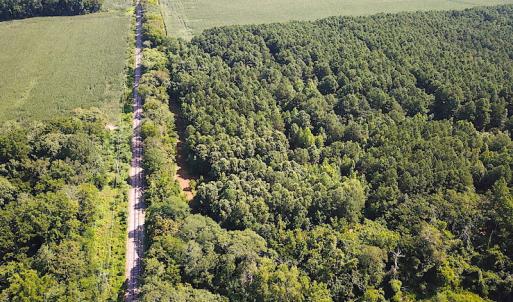 Photo #12 of SOLD property in Off Jackie Lane, Cape Charles, VA 46.0 acres