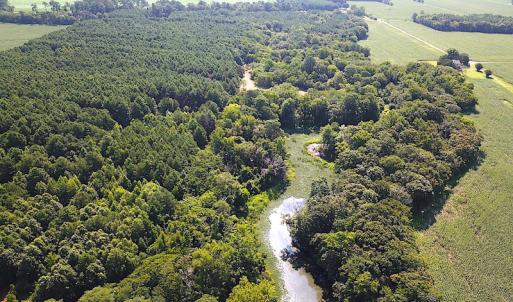 Photo #13 of SOLD property in Off Jackie Lane, Cape Charles, VA 46.0 acres