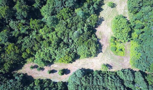 Photo #15 of SOLD property in Off Jackie Lane, Cape Charles, VA 46.0 acres