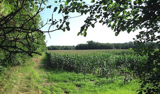 Photo #16 of SOLD property in Off Jackie Lane, Cape Charles, VA 46.0 acres