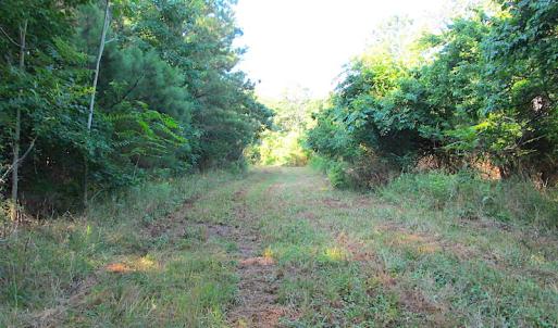 Photo #17 of SOLD property in Off Jackie Lane, Cape Charles, VA 46.0 acres