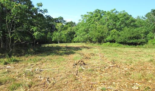 Photo #19 of SOLD property in Off Jackie Lane, Cape Charles, VA 46.0 acres