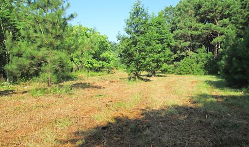 Photo #21 of SOLD property in Off Jackie Lane, Cape Charles, VA 46.0 acres