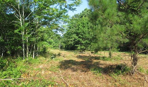 Photo #22 of SOLD property in Off Jackie Lane, Cape Charles, VA 46.0 acres