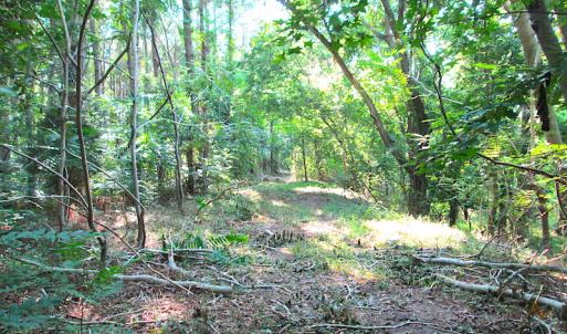 Photo #23 of SOLD property in Off Jackie Lane, Cape Charles, VA 46.0 acres