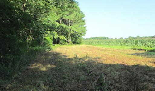 Photo #24 of SOLD property in Off Jackie Lane, Cape Charles, VA 46.0 acres