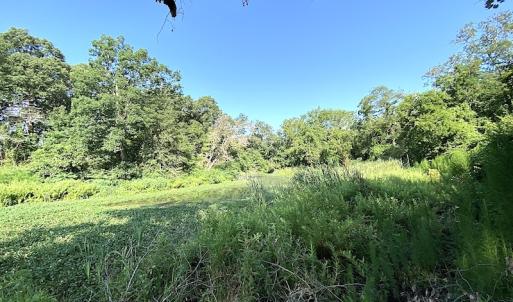 Photo #25 of SOLD property in Off Jackie Lane, Cape Charles, VA 46.0 acres
