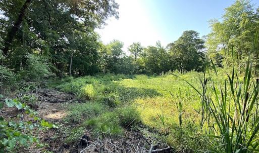 Photo #26 of SOLD property in Off Jackie Lane, Cape Charles, VA 46.0 acres
