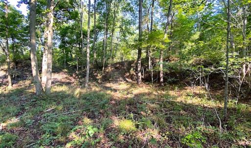 Photo #27 of SOLD property in Off Jackie Lane, Cape Charles, VA 46.0 acres