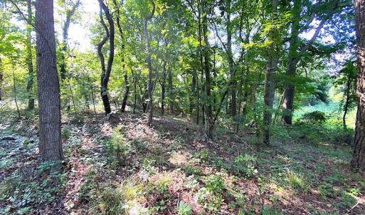 Photo #28 of SOLD property in Off Jackie Lane, Cape Charles, VA 46.0 acres