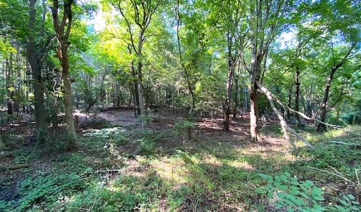 Photo #29 of SOLD property in Off Jackie Lane, Cape Charles, VA 46.0 acres