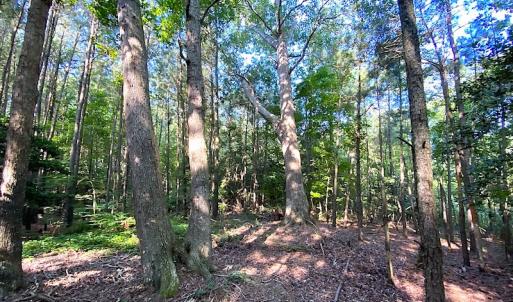 Photo #30 of SOLD property in Off Jackie Lane, Cape Charles, VA 46.0 acres