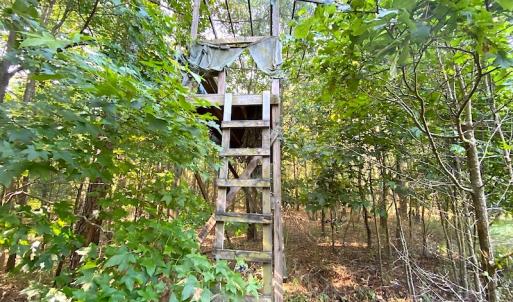 Photo #31 of SOLD property in Off Jackie Lane, Cape Charles, VA 46.0 acres