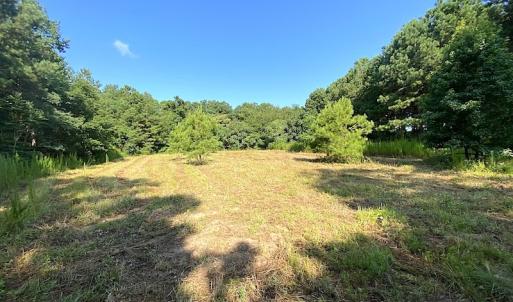 Photo #32 of SOLD property in Off Jackie Lane, Cape Charles, VA 46.0 acres