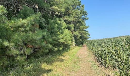 Photo #33 of SOLD property in Off Jackie Lane, Cape Charles, VA 46.0 acres