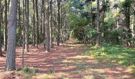 Photo #36 of SOLD property in Off Jackie Lane, Cape Charles, VA 46.0 acres