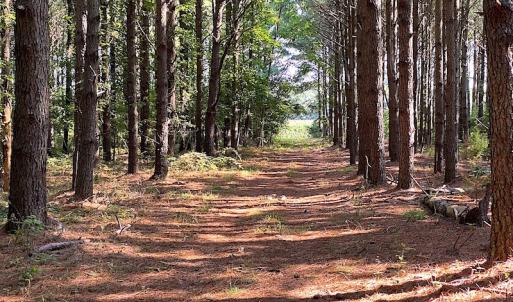 Photo #37 of SOLD property in Off Jackie Lane, Cape Charles, VA 46.0 acres