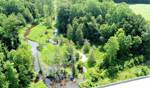 Photo #3 of SOLD property in  Off Hwy 17 and Off Springs Road, Washington, NC 53.0 acres