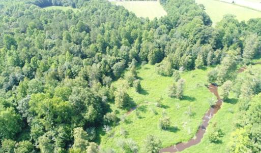 Photo #4 of SOLD property in  Off Hwy 17 and Off Springs Road, Washington, NC 53.0 acres