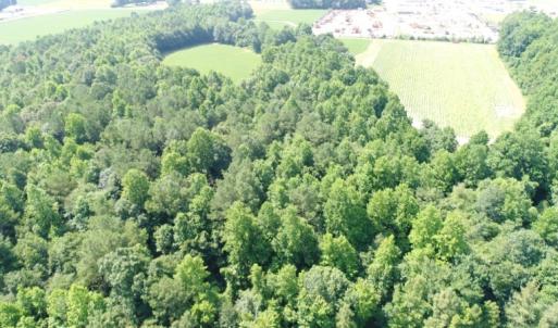 Photo #5 of SOLD property in  Off Hwy 17 and Off Springs Road, Washington, NC 53.0 acres