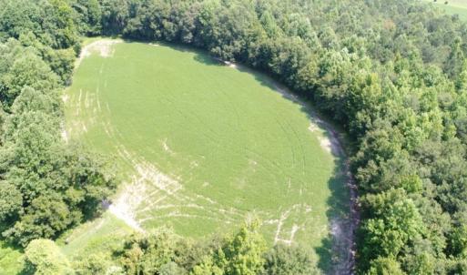 Photo #15 of SOLD property in  Off Hwy 17 and Off Springs Road, Washington, NC 53.0 acres