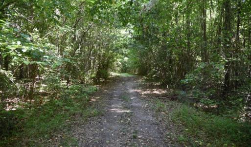 Photo #18 of SOLD property in  Off Hwy 17 and Off Springs Road, Washington, NC 53.0 acres