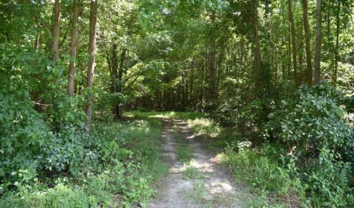 Photo #23 of SOLD property in  Off Hwy 17 and Off Springs Road, Washington, NC 53.0 acres