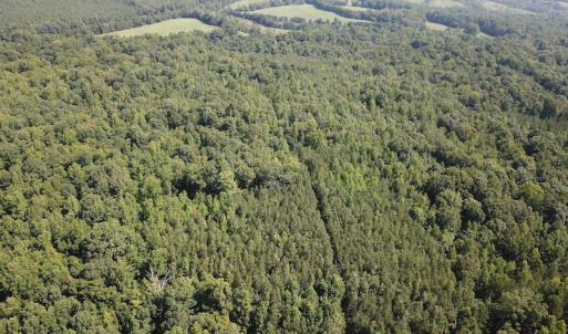 Photo #2 of SOLD property in Off Fletcher Chapel Road, Kenbridge, VA 76.0 acres