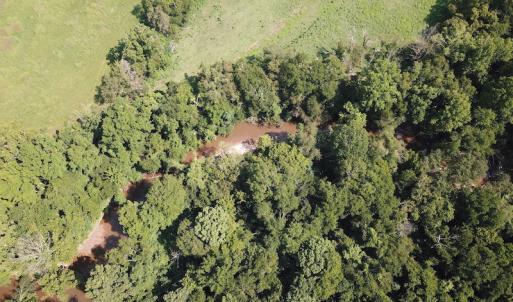 Photo #4 of SOLD property in Off Fletcher Chapel Road, Kenbridge, VA 76.0 acres