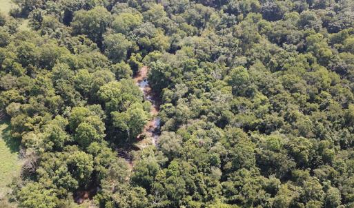 Photo #5 of SOLD property in Off Fletcher Chapel Road, Kenbridge, VA 76.0 acres