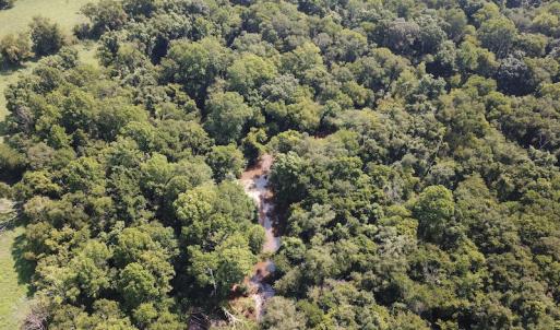 Photo #6 of SOLD property in Off Fletcher Chapel Road, Kenbridge, VA 76.0 acres