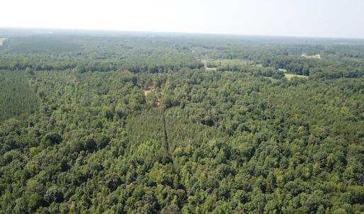 Photo #8 of SOLD property in Off Fletcher Chapel Road, Kenbridge, VA 76.0 acres