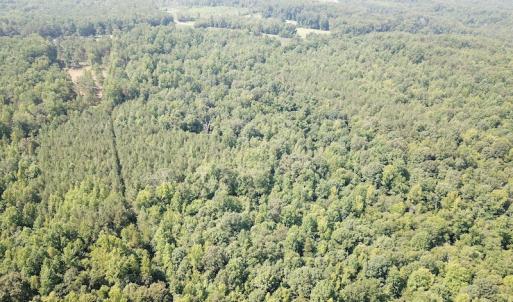 Photo #9 of SOLD property in Off Fletcher Chapel Road, Kenbridge, VA 76.0 acres