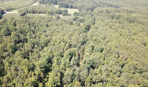 Photo #10 of SOLD property in Off Fletcher Chapel Road, Kenbridge, VA 76.0 acres