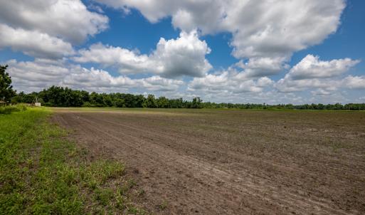 Photo #9 of SOLD property in Off Tedder Road, Fairmont, NC 27.9 acres