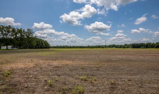 Photo #10 of SOLD property in Off Tedder Road, Fairmont, NC 27.9 acres