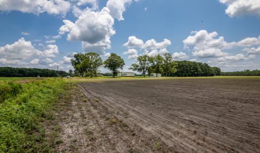 Photo #11 of SOLD property in Off Tedder Road, Fairmont, NC 27.9 acres