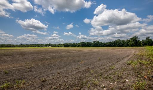 Photo #13 of SOLD property in Off Tedder Road, Fairmont, NC 27.9 acres