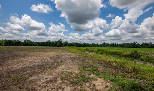Photo #14 of SOLD property in Off Tedder Road, Fairmont, NC 27.9 acres