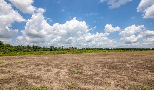 Photo #15 of SOLD property in Off Tedder Road, Fairmont, NC 27.9 acres