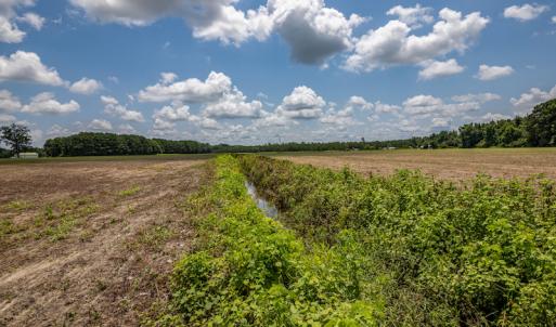 Photo #16 of SOLD property in Off Tedder Road, Fairmont, NC 27.9 acres