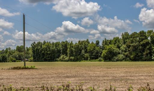 Photo #17 of SOLD property in Off Tedder Road, Fairmont, NC 27.9 acres