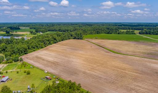 Photo #23 of SOLD property in Off Tedder Road, Fairmont, NC 27.9 acres