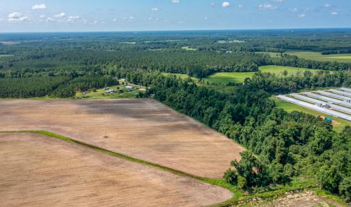 Photo #24 of SOLD property in Off Tedder Road, Fairmont, NC 27.9 acres