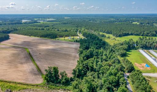 Photo #25 of SOLD property in Off Tedder Road, Fairmont, NC 27.9 acres