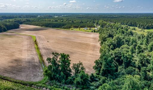 Photo #26 of SOLD property in Off Tedder Road, Fairmont, NC 27.9 acres